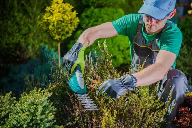 landscaping services St. Matthews